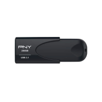 PNY Memoria USB Adjunta 4 256 GB