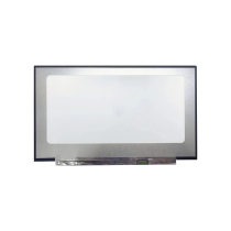 Pantalla LED 17.3" - 1920x1080 - 30 Pines Derecha (Mate)