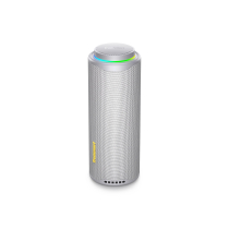 TRONSMART T8 O3020 Altavoz Bluetooth (Gris)