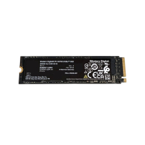 Western Digital SSD M2 NVMe (256 GB) (Reacondicionado)